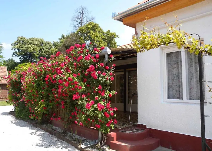 - Balaton 18150 Dom wakacyjny Balatonberény